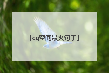 qq空间最火句子