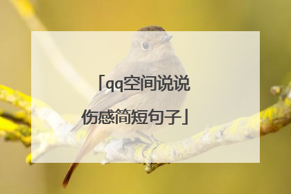 qq空间说说伤感简短句子