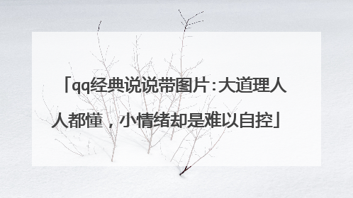 qq经典说说带图片:大道理人人都懂，小情绪却是难以自控