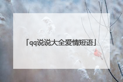 qq说说大全爱情短语
