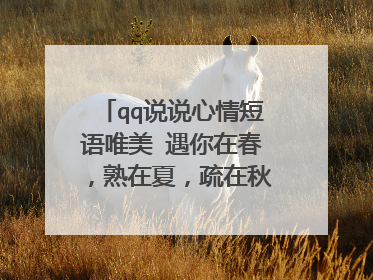 qq说说心情短语唯美 遇你在春，熟在夏，疏在秋，别在冬