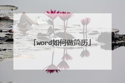 word如何做简历