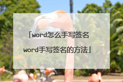 word怎么手写签名 word手写签名的方法
