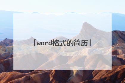 word格式的简历