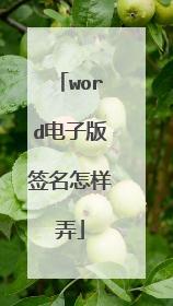 word电子版签名怎样弄