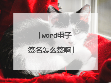 word电子签名怎么签啊