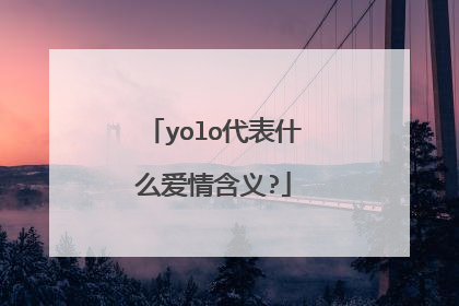 yolo代表什么爱情含义?