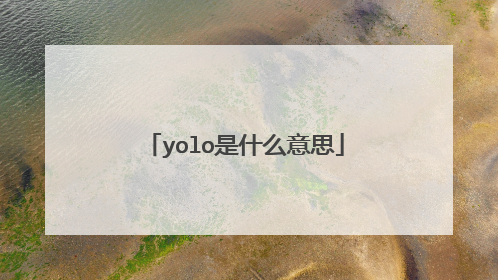 yolo是什么意思