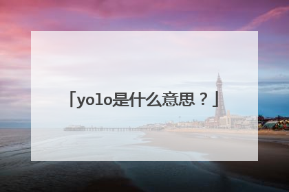 yolo是什么意思?