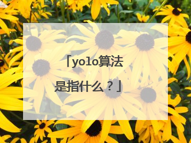 yolo算法是指什么？